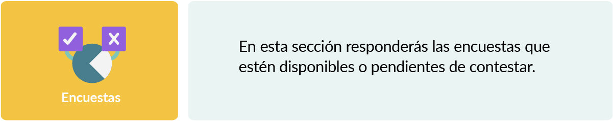 5_estudiantes_tarjeta_encuestas.jpg